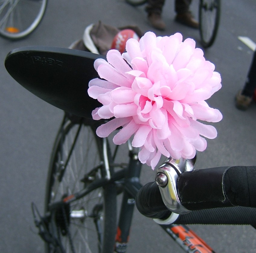 RADpaRADe Flower