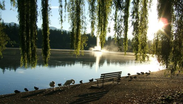 Sunrise, Stanley Park Vancouver