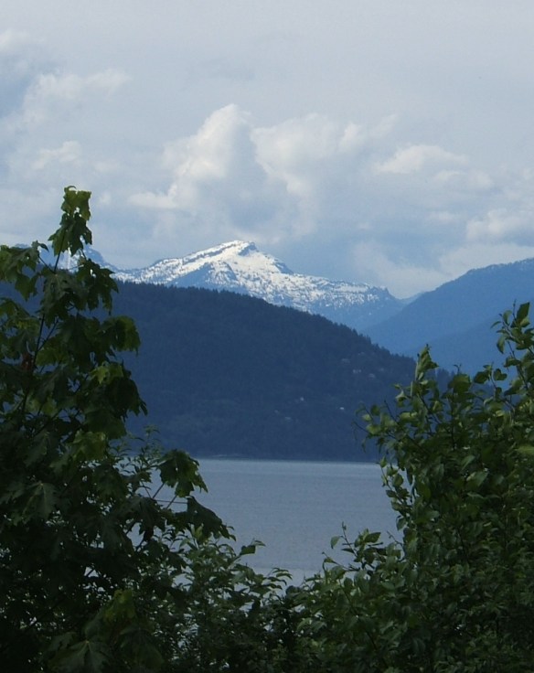 View from UBC looking North East