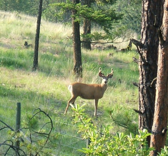 Seen close to valley road