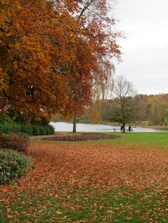 Djurgarden autumn