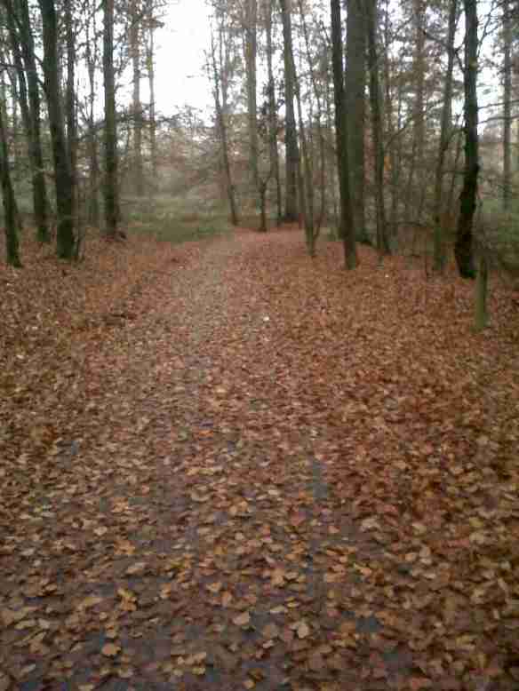 Brussels Belgium Chemin Des Tumulii