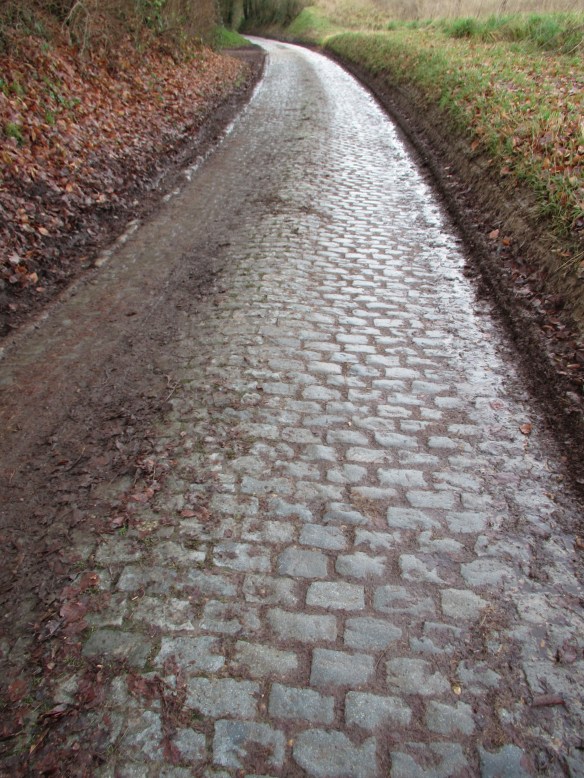 Cobbles of Lasne