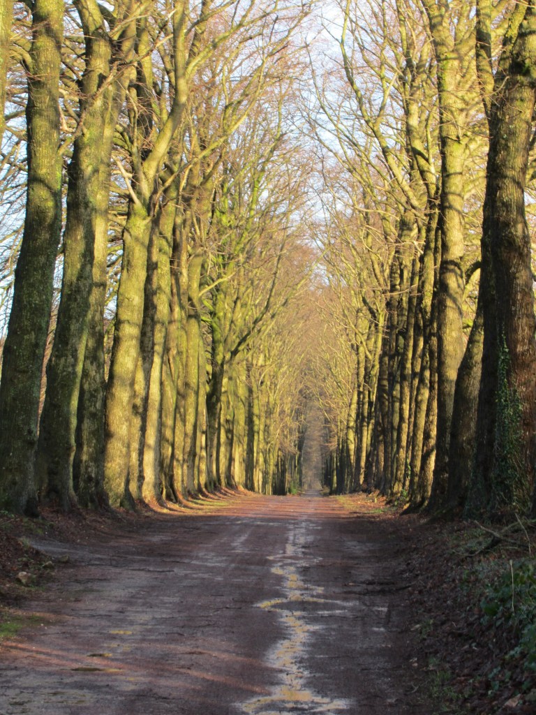 Brabant Wallon Belgium