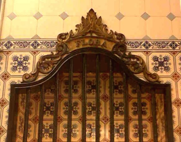 Flora's Stall Dordrecht Weizigt