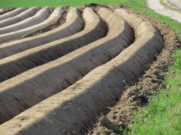 Mountain biking Belgium