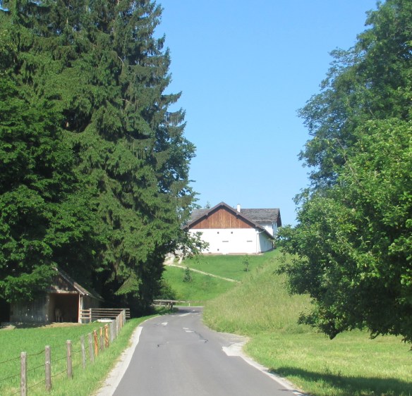 Cycling Salzkammergut Upper Austria mountain biking