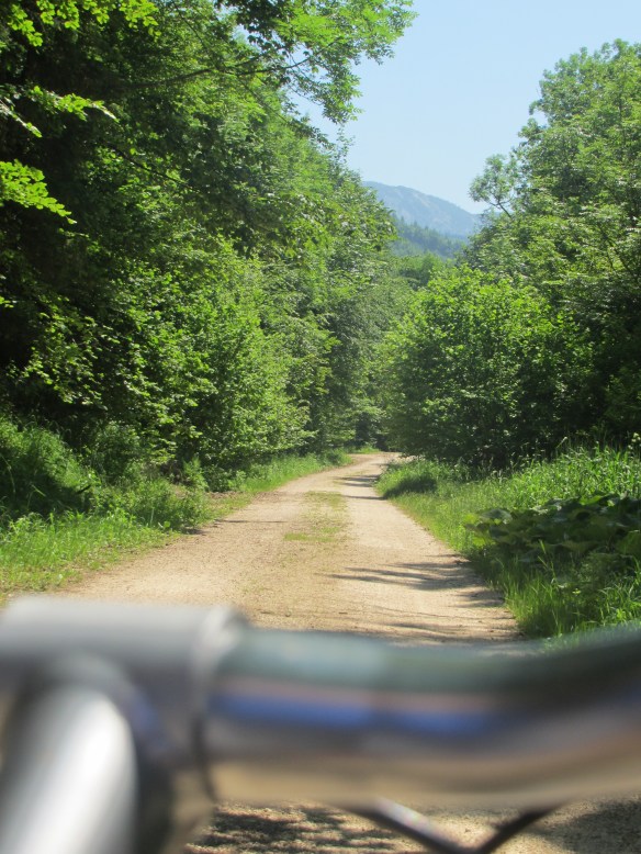 Mountain biking Upper Austria