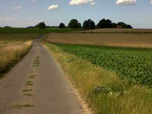 Cycling Wallonia