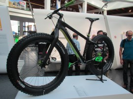 Surley Fat Bike