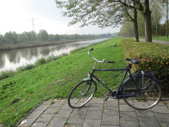 Dutch hire bike