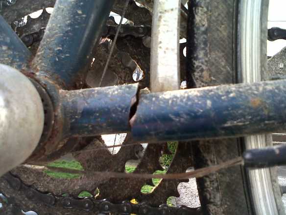 Photo by Kevin Mayne