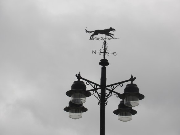 Black Shuck Photo Kevin Mayne