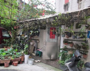 Plants and houses Taipei