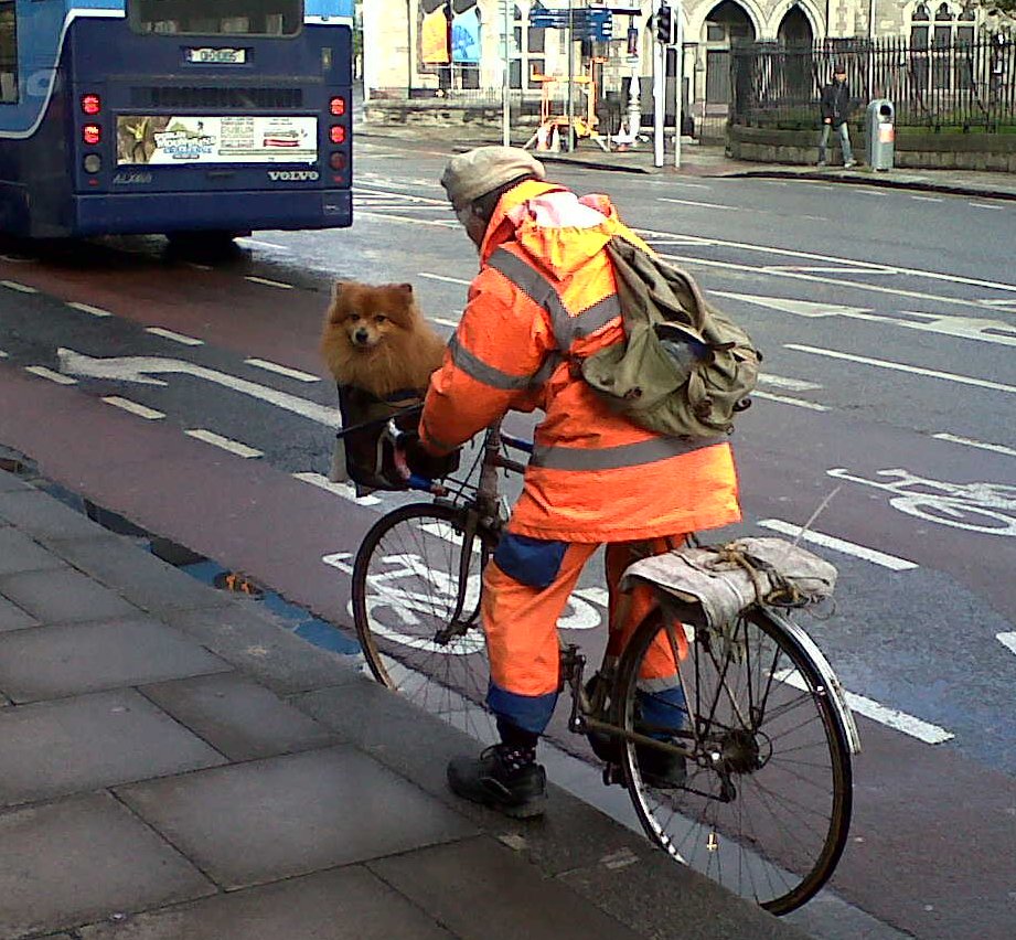 When I see a cute dog on cycle basket I do not despair for the future ...