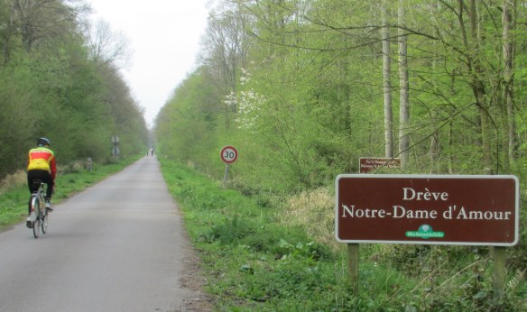 Foret de rasmes France