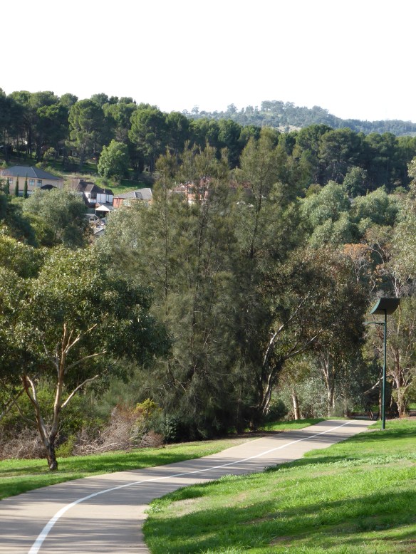 Approaching the Adelaide Hills on Torrens Linear park