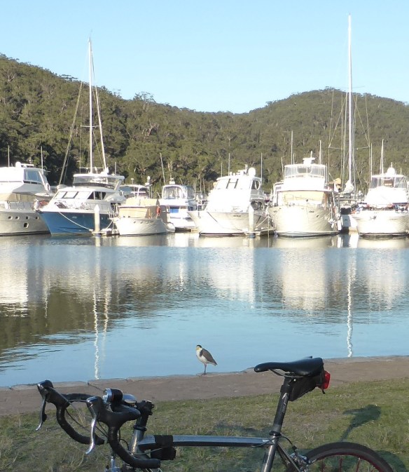 Bobbin Head bike ride Sydney