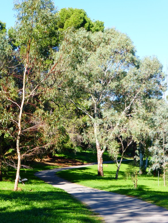 Torrens River Cycle Route Adelaide