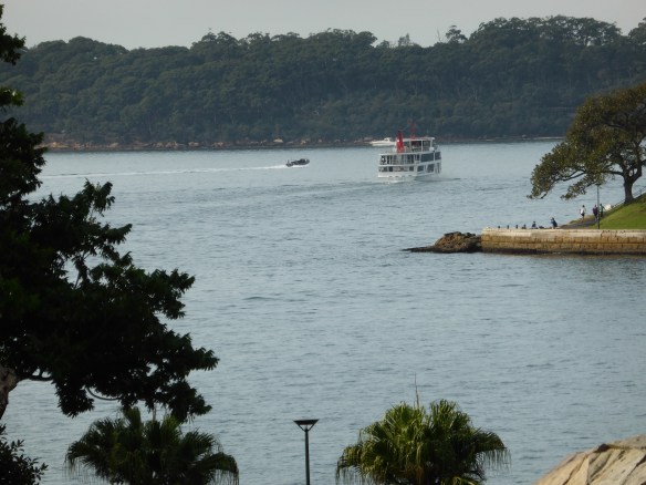 View from Botanical Gardens Sydney