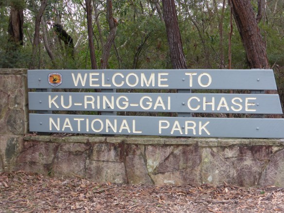Welcome to Ku-Ring-Gai Chase National Park