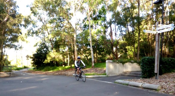 Photo by Kevin Mayne