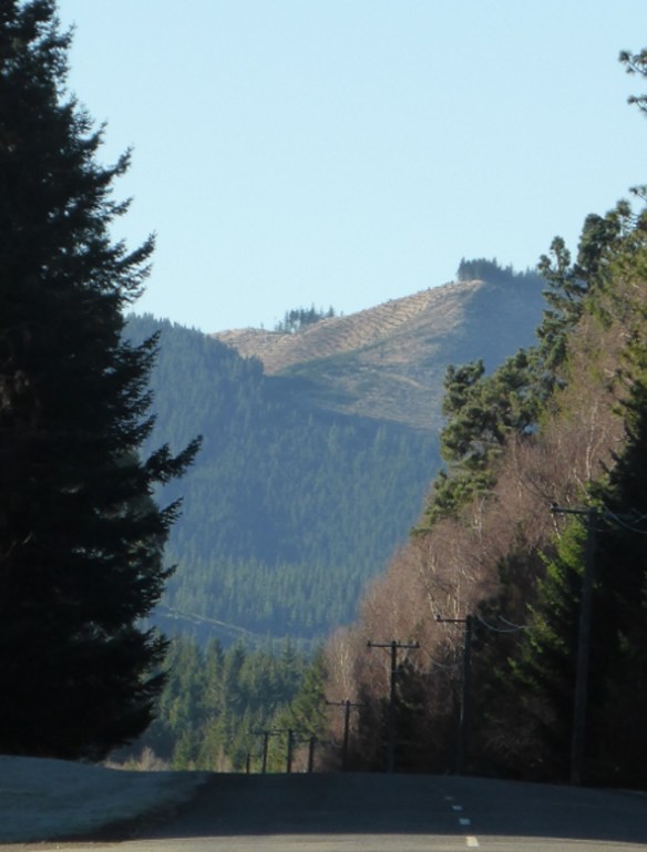 Jollies Pass Road Hanmer Springs