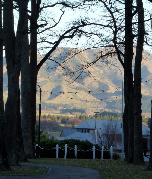 Photo by Kevin Mayne