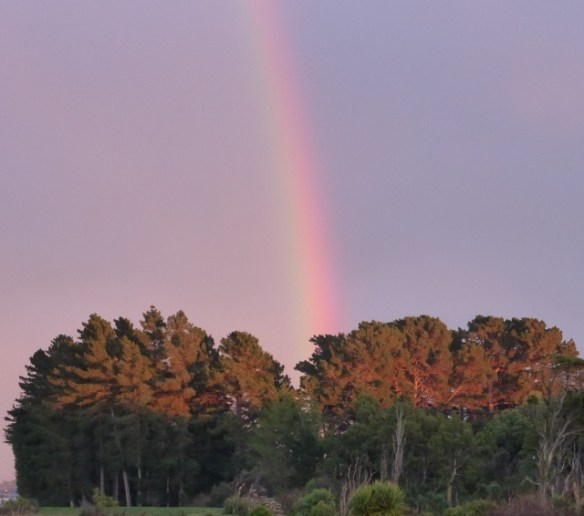 Winter rainbow over Invercargill