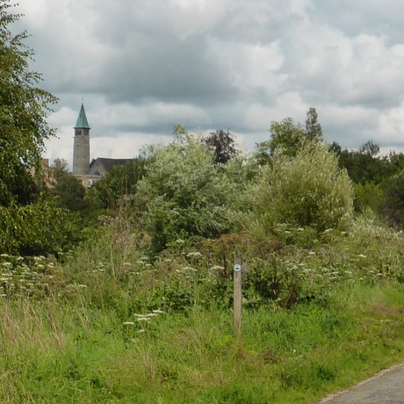 Photo by Kevin Mayne