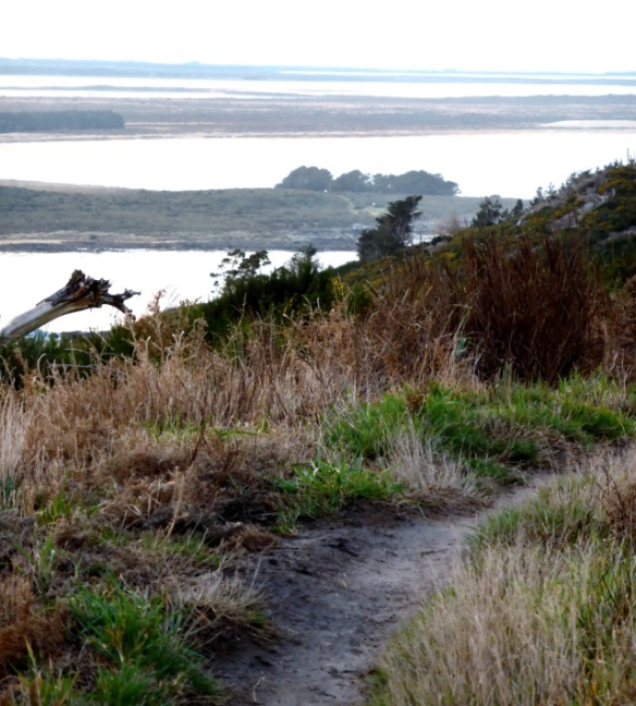 Bluff Hill Mountain bike track with sea view New Zealand