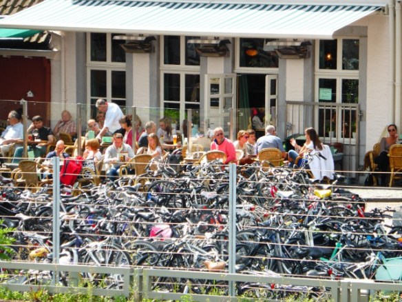 Photo by Kevin Mayne