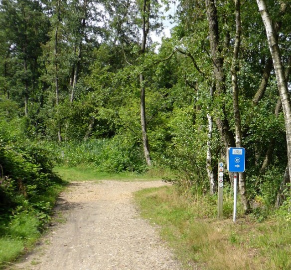 Cycle path between Genk and Hassalt Flanders