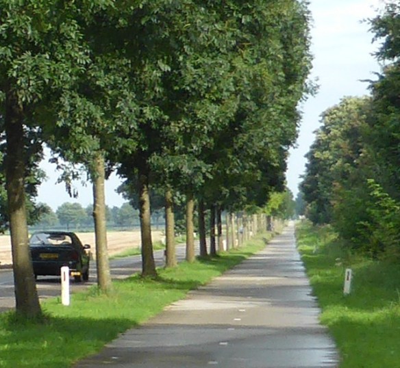 Photo by Kevin Mayne