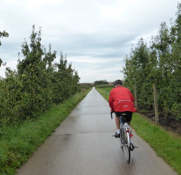 Photo by Kevin Mayne