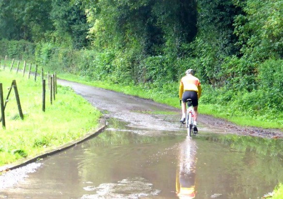 Photo by Kevin Mayne