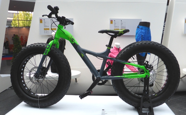 Photo by Kevin Mayne