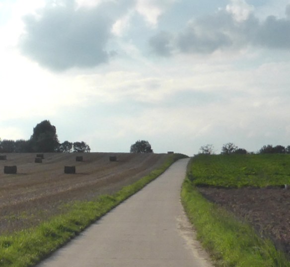 Cycle route to lasne