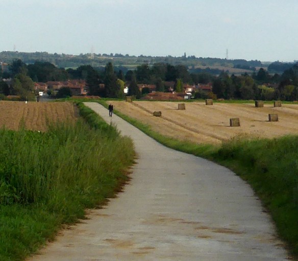 Looking towards Mousty on the cycle path