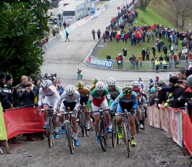 Photo by Kevin Mayne