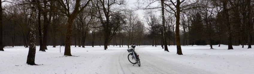 Photo by Kevin Mayne