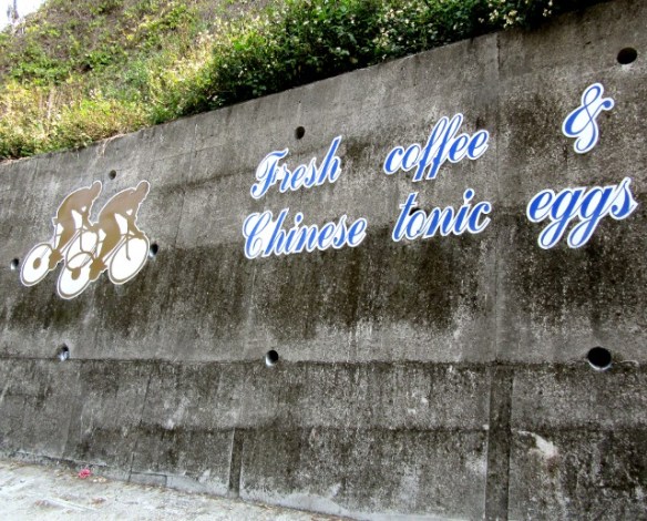 Photo by Kevin Mayne