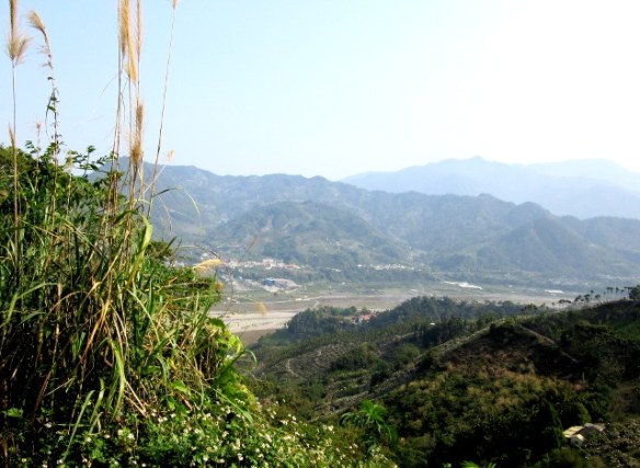 Photo by Kevin Mayne