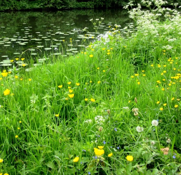 Photo by Kevin Mayne