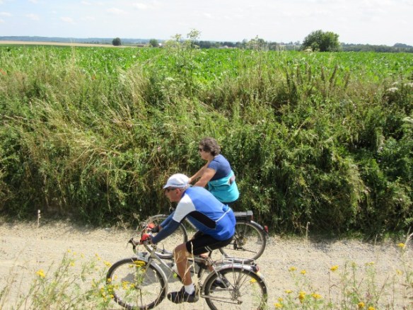 Photo by Kevin Mayne