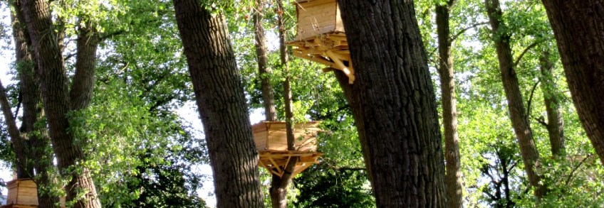 Photo by Kevin Mayne