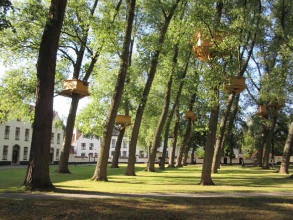 Photo by Kevin Mayne