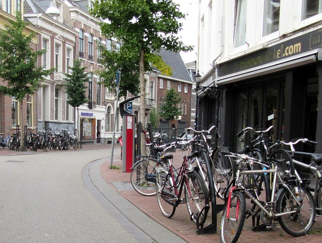 Photo by Kevin Mayne