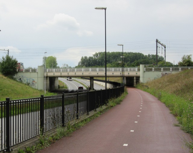 Photo by Kevin Mayne