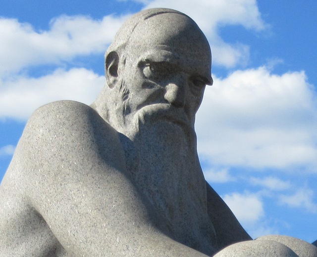 Photo by Kevin Mayne